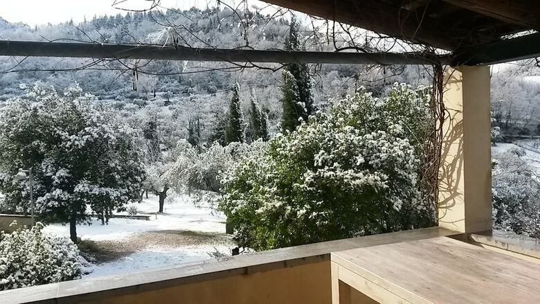 Agroturismo Agriturismo La Barca Nel Bosco