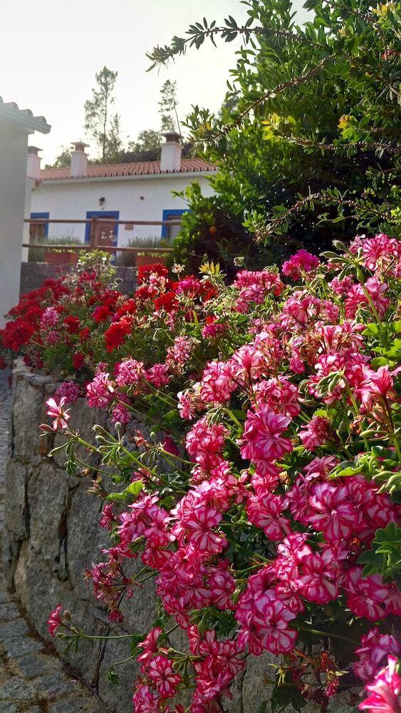 Agroturismo Quinta Da Idalina