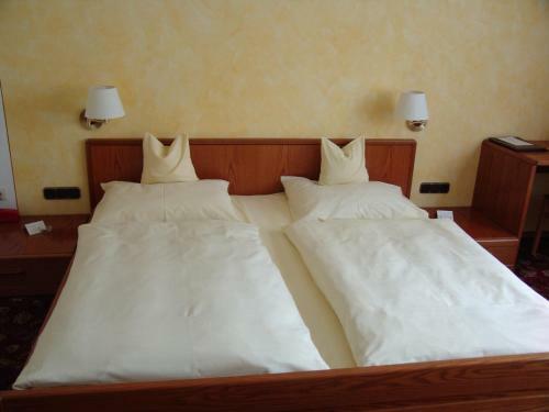 Hostal Goldener Schwan Hotel Garni