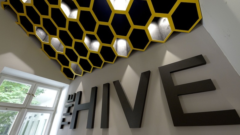 Hostal The Hive Party Hostel