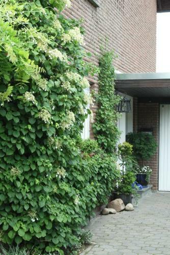 Apartamentos Ferienwohnung Illerhues