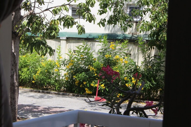 Hostal Friends Homestay