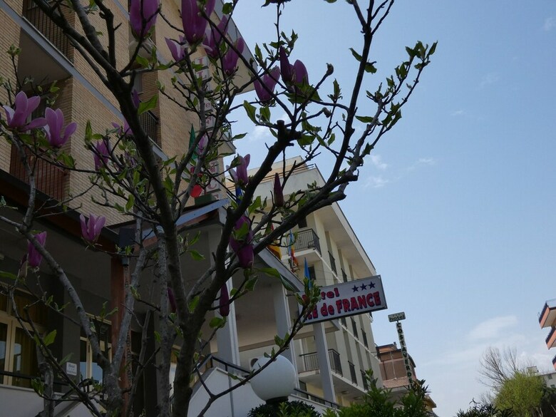 Hotel Ile De France Cesenatico