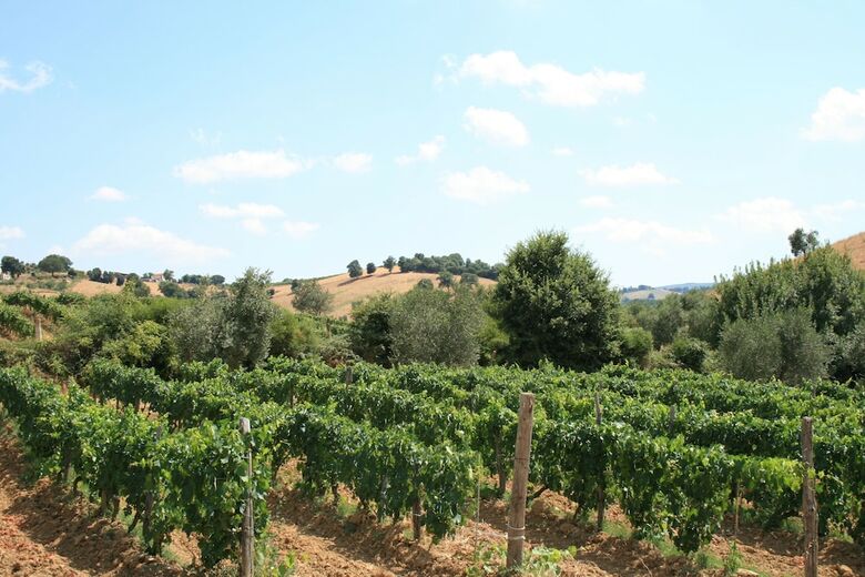 Agroturismo Agriturismo Serratone