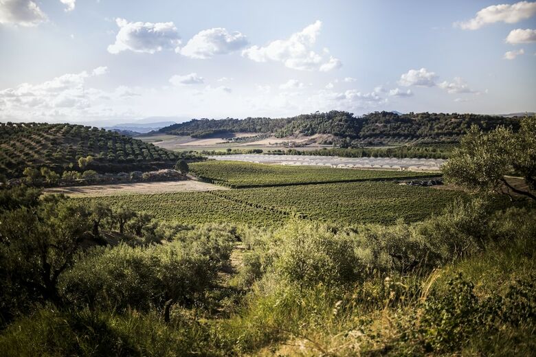 Agroturismo Agriturismo Il Giriatello