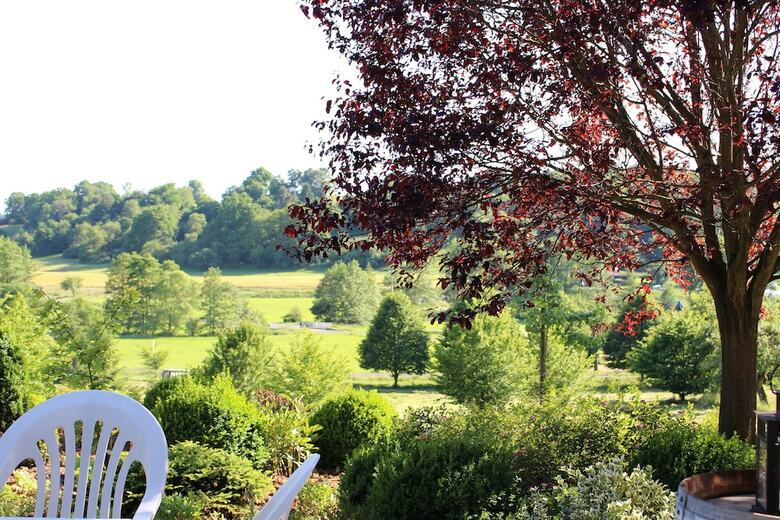 Hostal Hotel Tannenhof