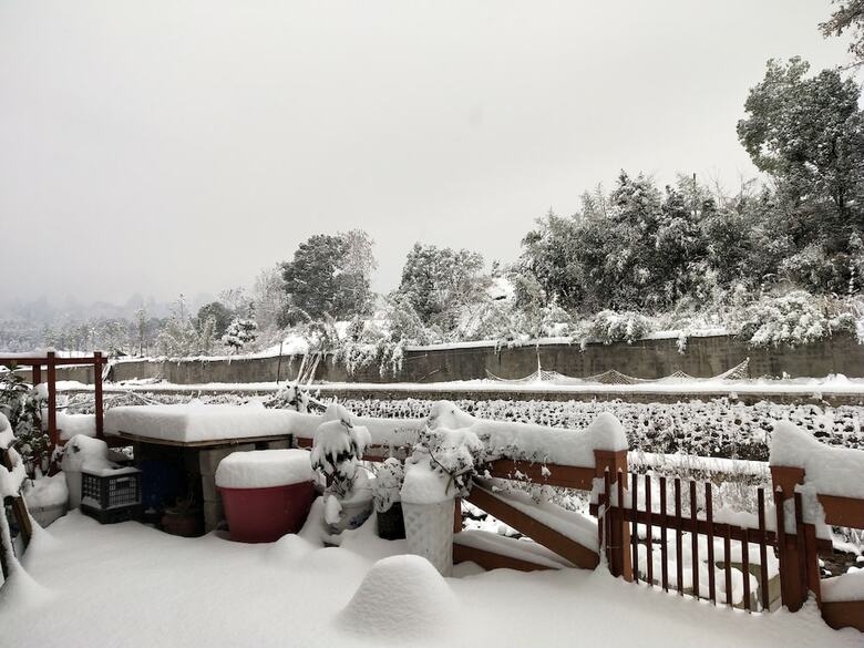 Posada Home Dream Inn