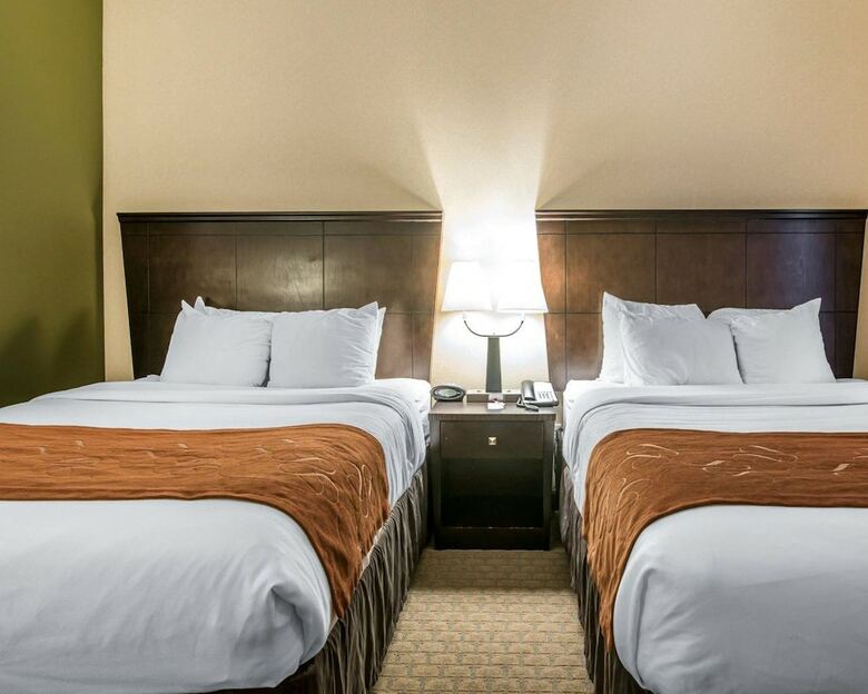 Hotel Comfort Suites Vestal Near University