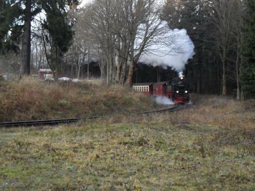 Apartamentos Zum Wildbach Schierke - Harz