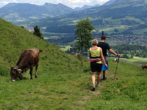 Hostal Gasthof Pension Riedbergerhorn