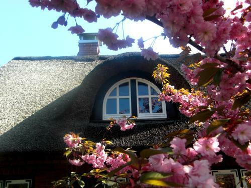 Apartamento Das Reetdachhaus - Paulines H�ft