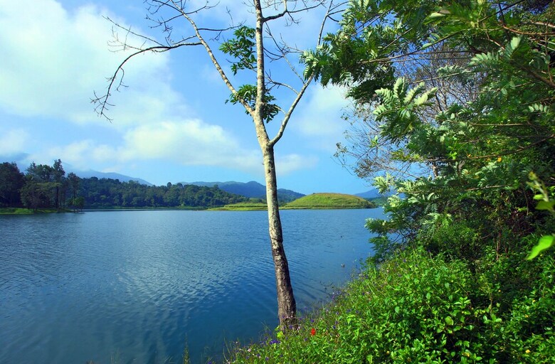 Apartamento Petals Resorts Wayanad
