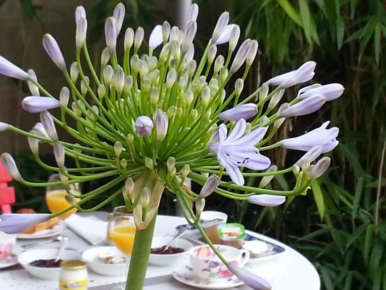 Hotel Les Franci�res