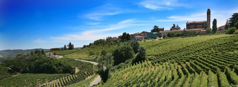 Hotel Albergo Castiglione Langhe