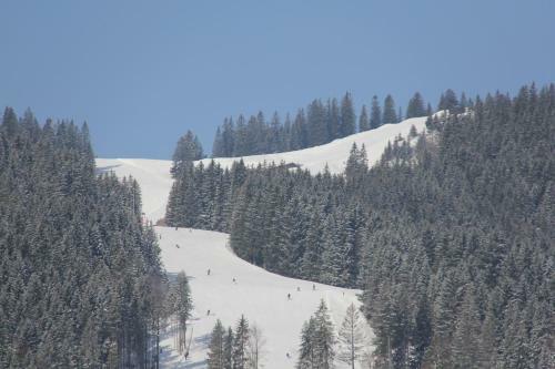 Hostal Berggasthof Willy Merkl Haus