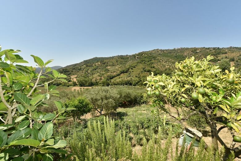 Agroturismo Agriturismo La Lamia
