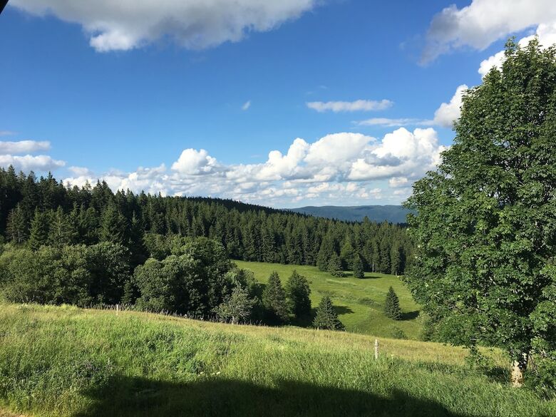 Hotel Berggasthaus Kandelhof