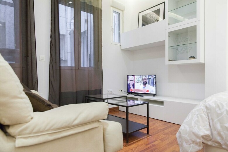Apartamentos Espectacular Estudio En Malasa�a