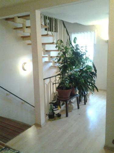Hotel Altes Wirtshaus