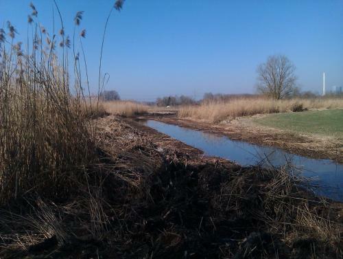 Pure Nature Munich - Amper Meadows/freising