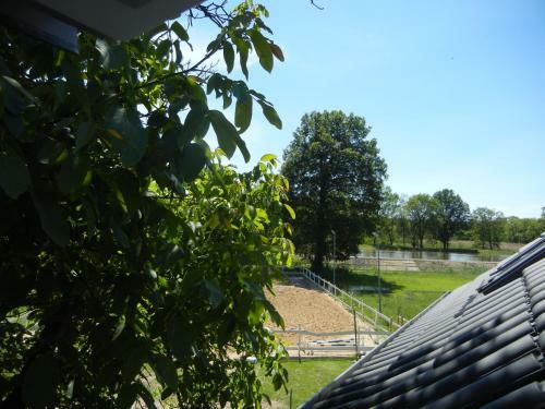 Hostal Gutshof Zum Adlernest