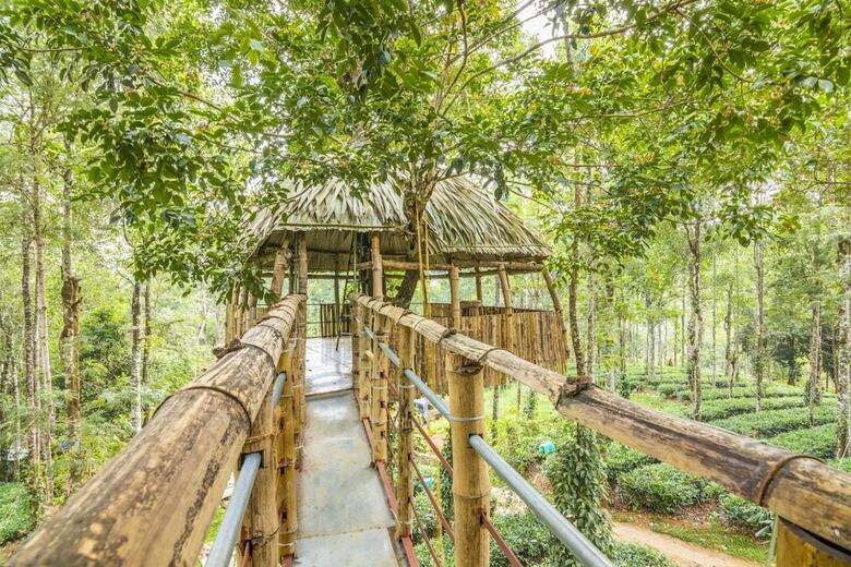 Cabana Guesthouser 4 Bhk Tree House 7d51