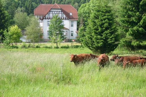 Hostal Pension Bodetal