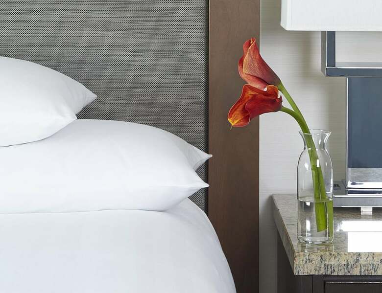 Hotel Hyatt Regency Atlanta Downtown