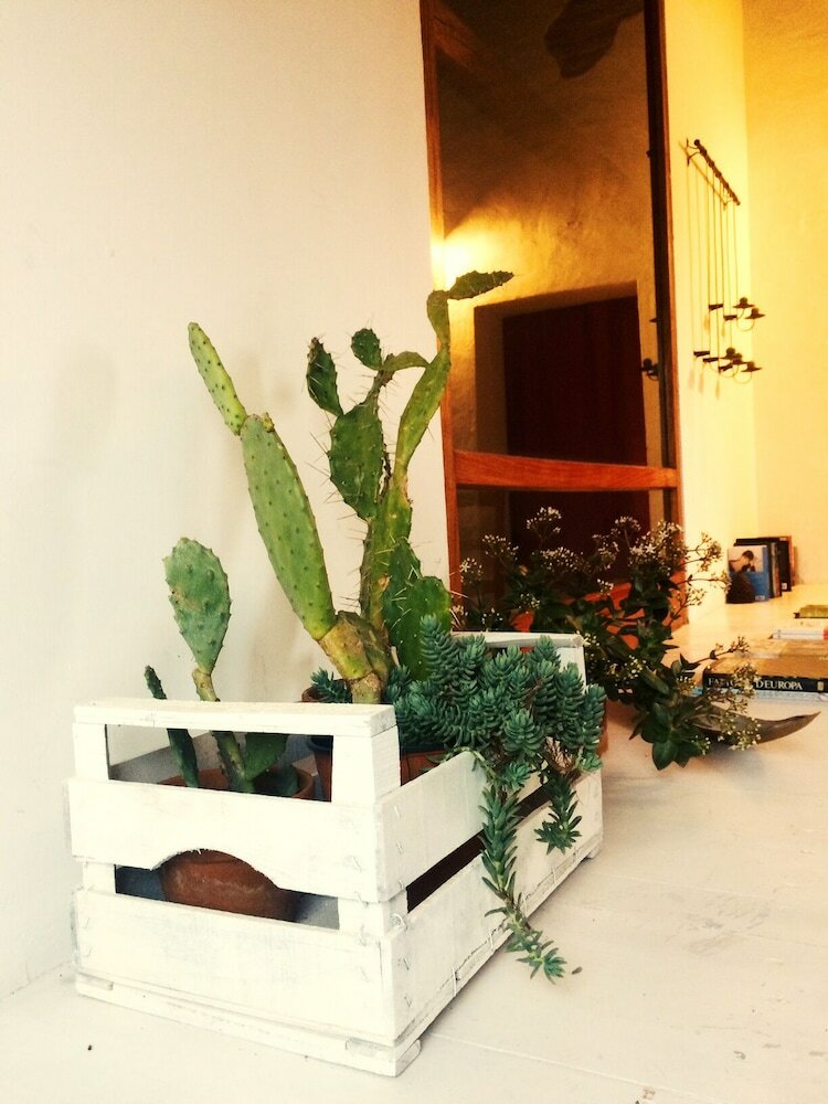 Agroturismo Lacrimarte