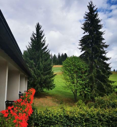 Hostal Schwarzwaldgasthof Hotel Hirschen