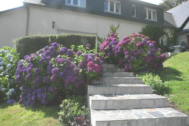 Bed & Breakfast Les Etangs De Piti� Chambres D'h�tes