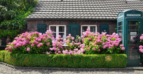 Wellings Romantik Hotel Zur Linde
