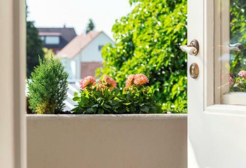 Boutique Hotel Friesinger