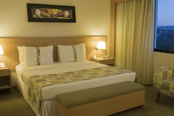 Hotel Holiday Inn Parque Anhembi