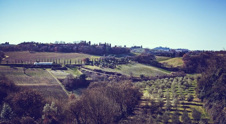 Agroturismo Bio-agriturismo La Ginestra