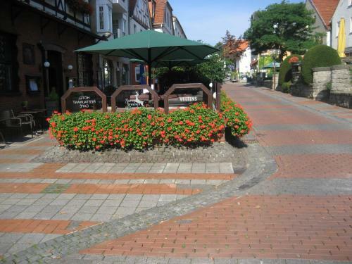 Hostal Hotel Zum Braunen Hirschen