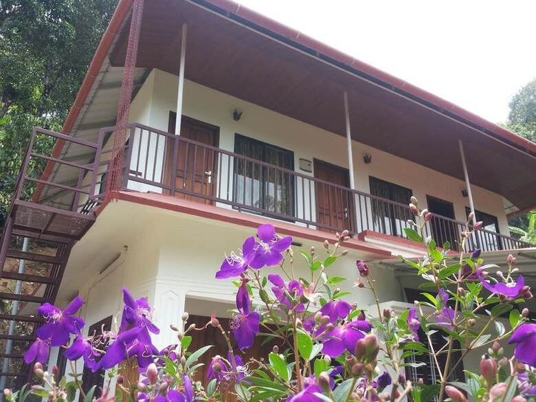 Hotel Athens Cottage