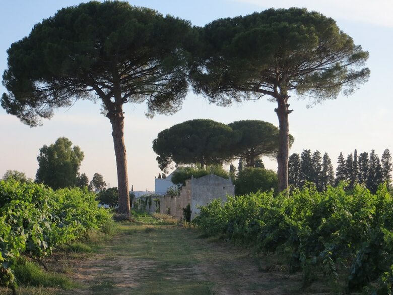 Agroturismo Agriturismo Occhineri
