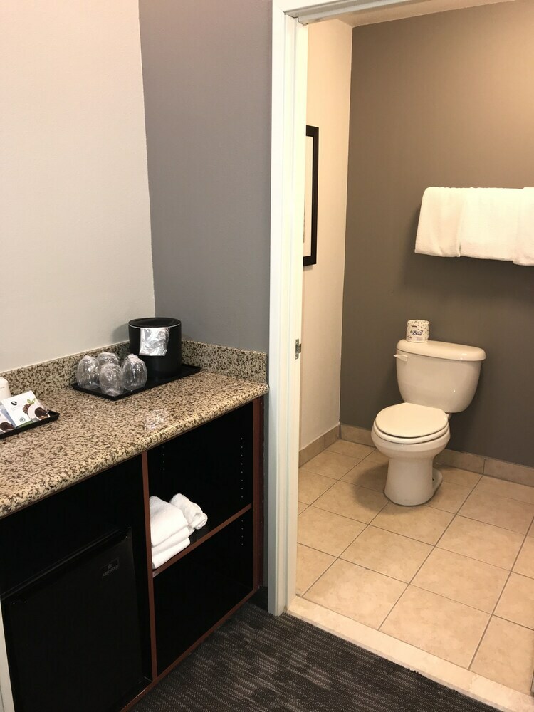 Hotel Courtyard By Marriott Mcallen Airport