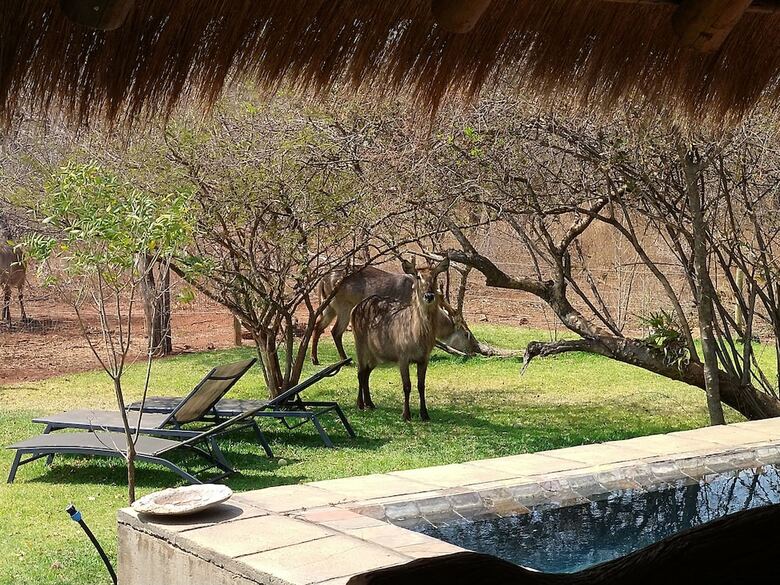 Posada Call Of The Wild Lodge