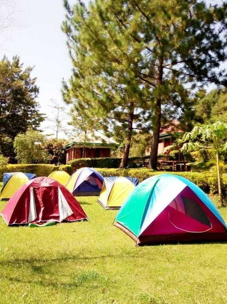 Green Home Cottages And Campsite