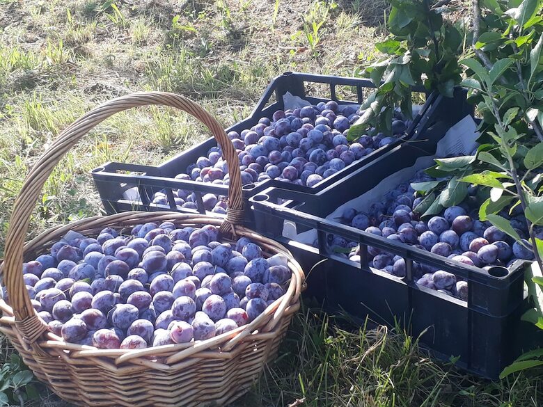 B&B Cascina Sant'elena