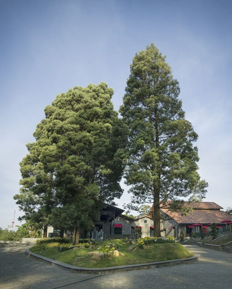 Apartamento The Tamara Kodai