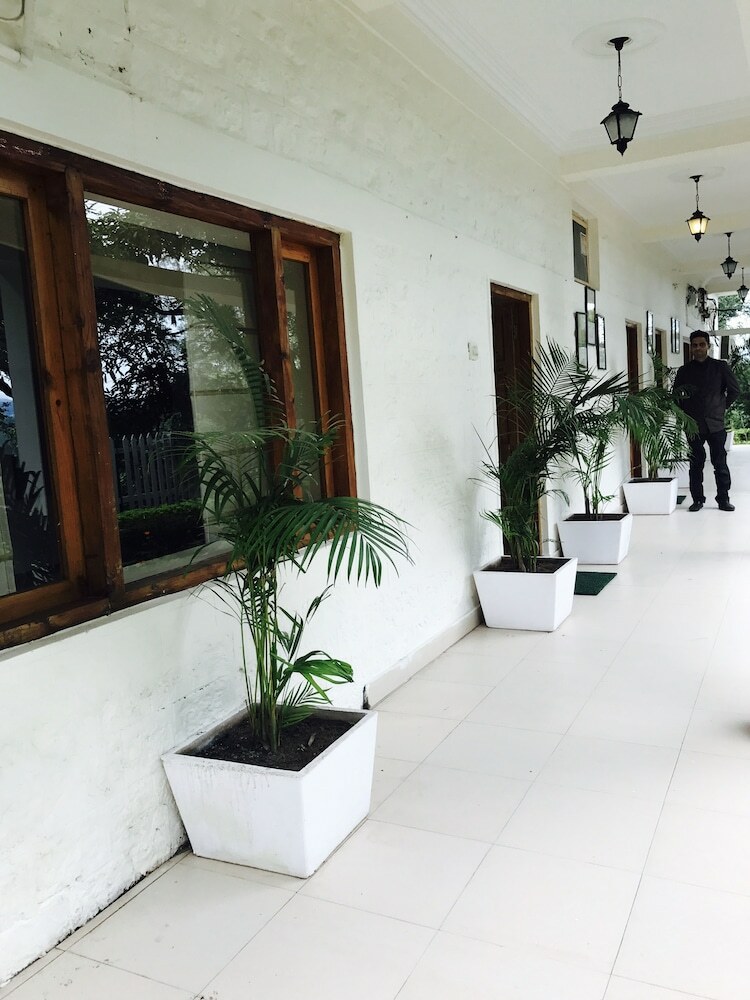 Hotel Alcor Spa Resort Kasauli
