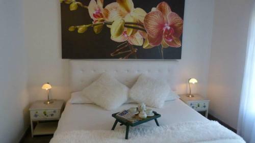 Alto De La Palma Hotel Boutique
