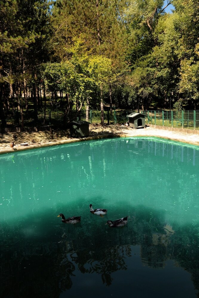 Apartamento Bolu Koru Hotels Spa & Convention
