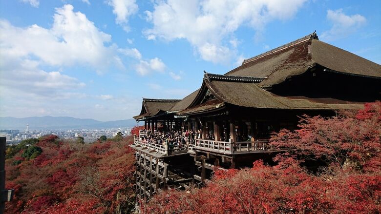 Apartamentos Stay Sakura Kyoto Dragon