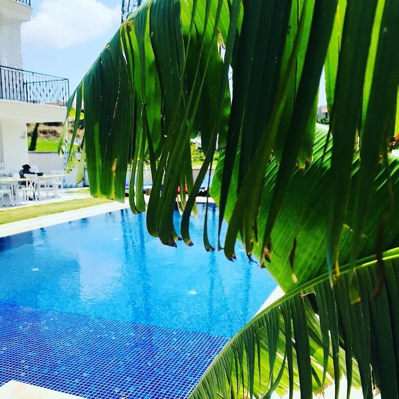 Bed & Breakfast My Vera Alacati Butik Otel