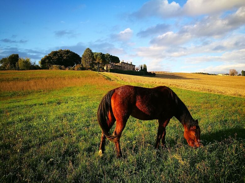 Agroturismo Agriturismo Casale Dei Frontini
