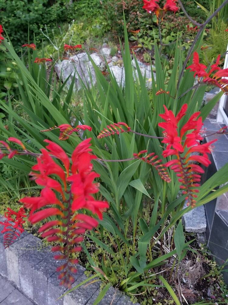 Squamish Highlands Bed And Breakfast